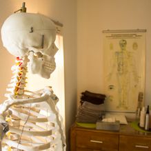 Anatomie des Menschen | Ihre Physiotherapeuten der Praxis für Physiotherapie & Heilpraktik in Lübbecke sind für Sie da!